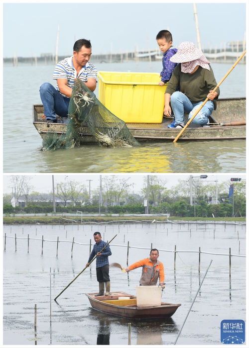 綠色太湖譜新篇 水清岸綠民富，汽車裝飾用品銷售助力生態(tài)經(jīng)濟(jì)