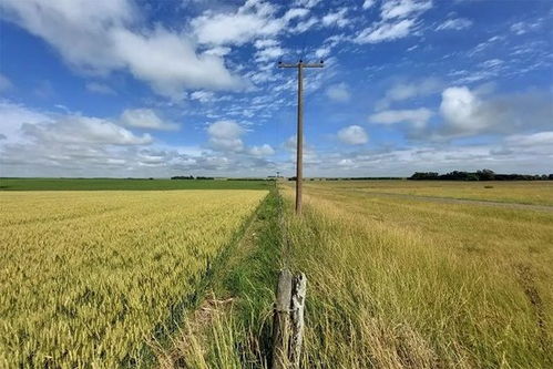 阿根廷畜牧漁業飼料銷售迎來中國合作伙伴，數十年來首次重大突破