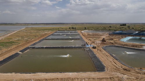 榆林迎小龍蝦上市旺季 水產賦能鄉村振興，畜牧漁業飼料銷售同步增長