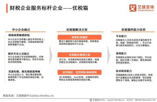 2021上半年中國財稅企業(yè)服務市場洞察 數字化驅動下的信息咨詢服務新格局